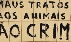PSP lança campanha contra maus tratos aos animais capa